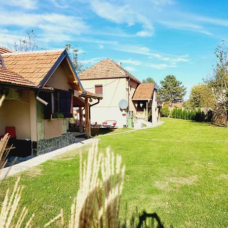 Dvor Villa Donja Toponica Екстериор снимка