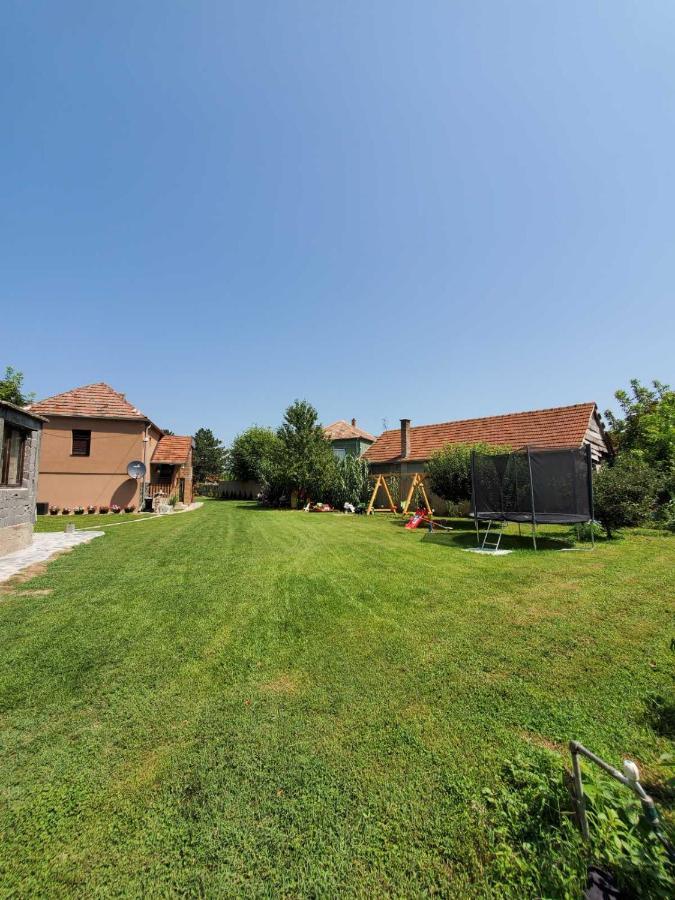 Dvor Villa Donja Toponica Екстериор снимка
