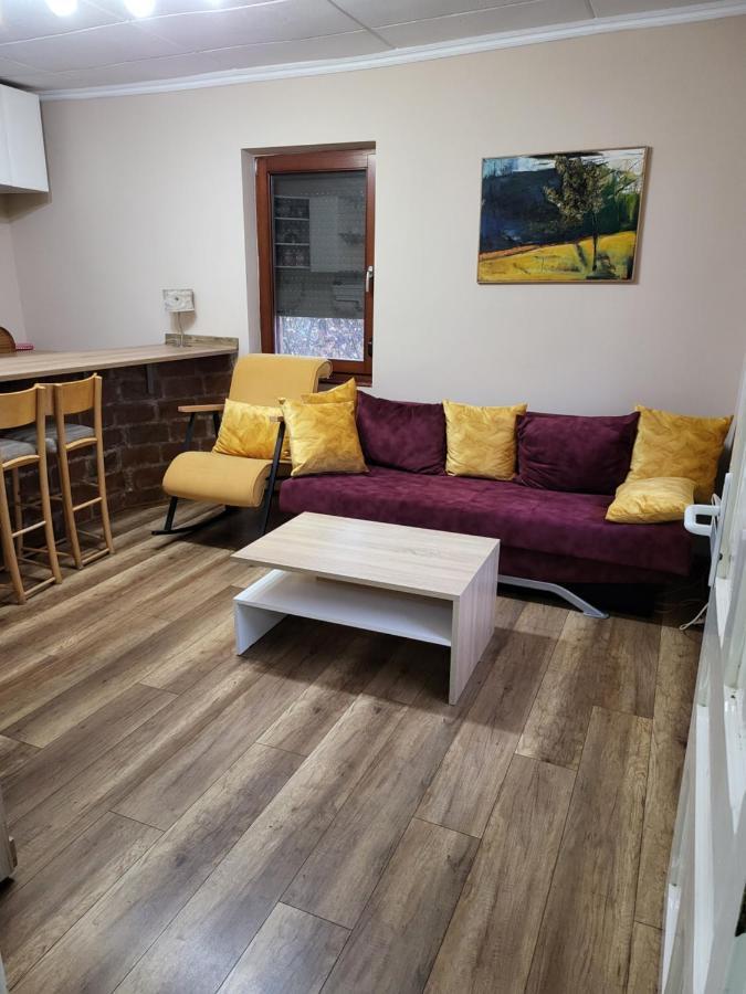 Dvor Villa Donja Toponica Екстериор снимка